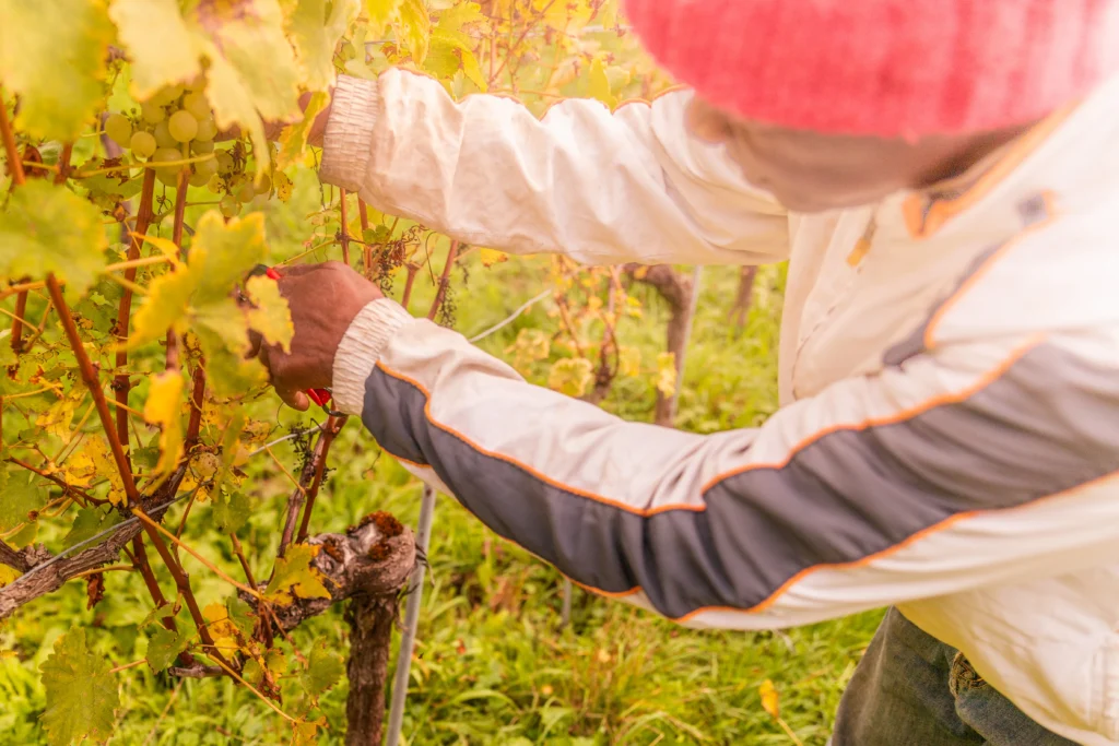 Fondation Rurrale Interjurassienne